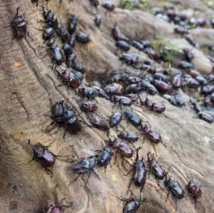 assorted baked goods at bakery