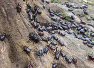 assorted baked goods at bakery